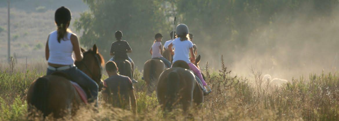 Active Travel Language Sejour Linguistique Angleterre Quitation