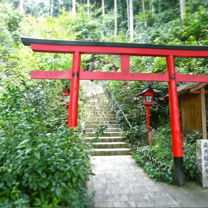Active Travel Language Sejour Linguistique Angleterre Fukuoka 8