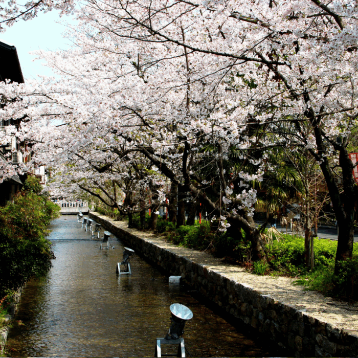 Active Travel Language Sejour Linguistique Angleterre Kyoto 2