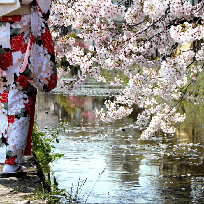Active Travel Language Sejour Linguistique Angleterre Kyoto 7