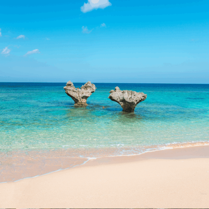 Active Travel Language Sejour Linguistique Angleterre Okinawa 3