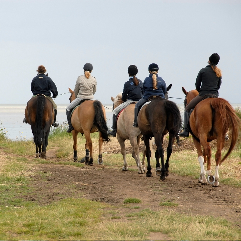 Active Travel Language Immersion Etats Unis 1