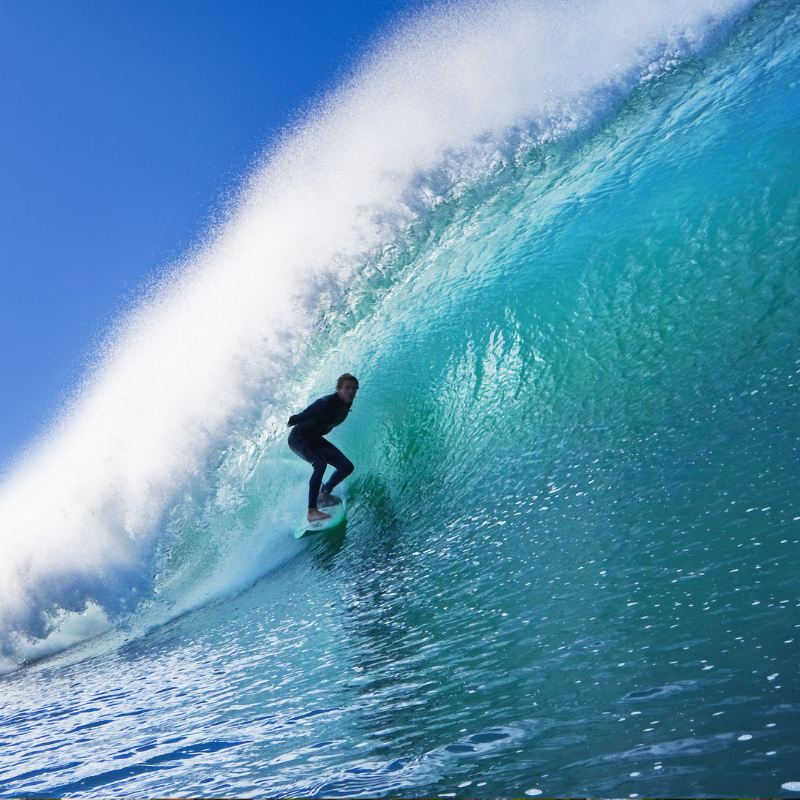 Active Travel Language Immersion Etats Unis 3