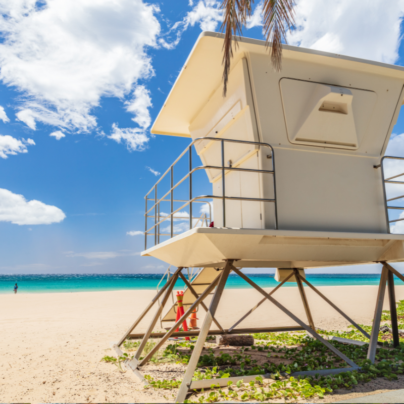 Active Travel Language Immersion Etats Unis 8