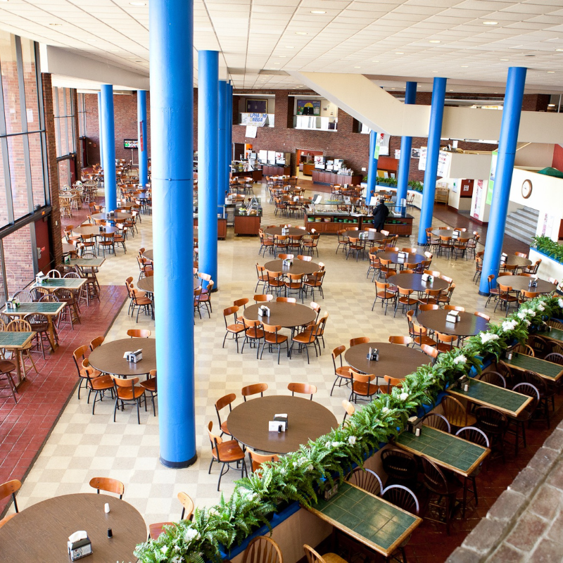 Active Travel Language Sejour Linguistique Wagner College 3