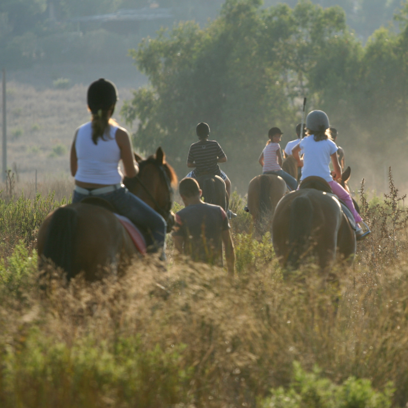 Active Travel Language Sejour Linguistique Angleterre Afrique Du Sud 5