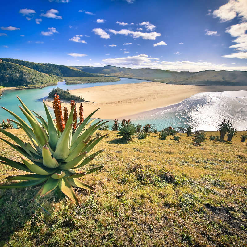 Active Travel Language Sejour Linguistique Angleterre Afrique Du Sud 6