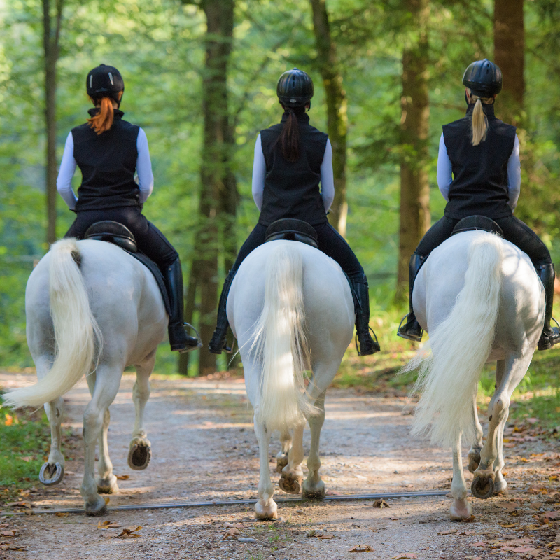 Active Travel Language Sejour Linguistique Angleterre Australie 6