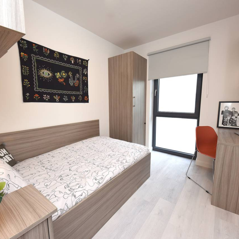 Active Travel Language Sejour Linguistique Angleterre Cork Equitation 1