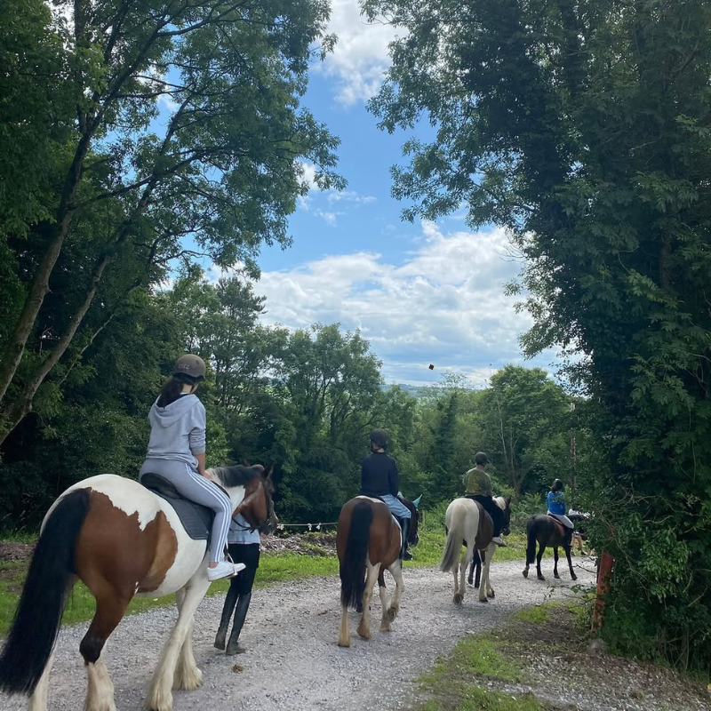 Active Travel Language Sejour Linguistique Angleterre Cork Equitation 5