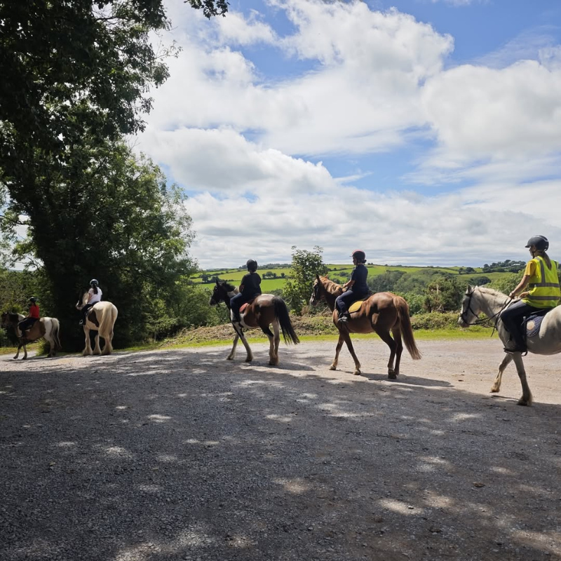 Active Travel Language Sejour Linguistique Angleterre Cork Equitation 7