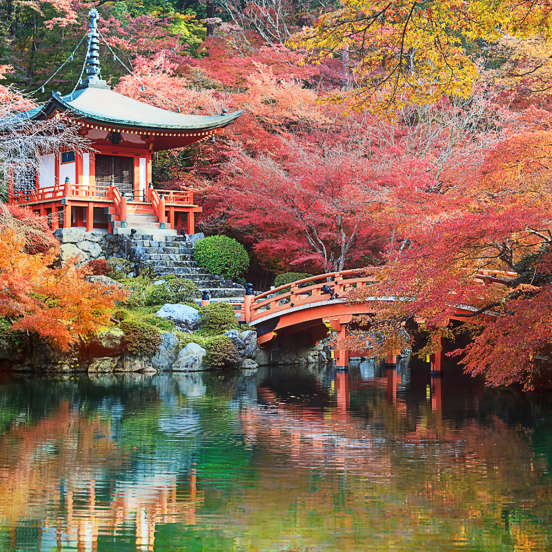 Active Travel Language Sejour Linguistique Angleterre Japon 2