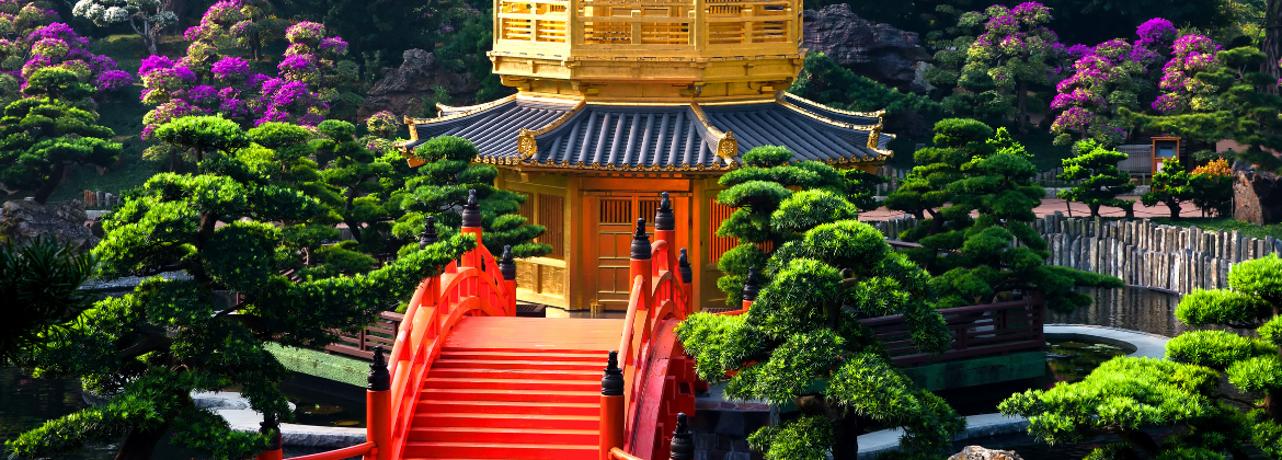 Active Travel Language Sejour Linguistique Angleterre Design Sans Titre 18