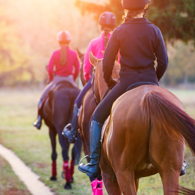 Active Travel Language Sejour Linguistique Angleterre Photos Site 7